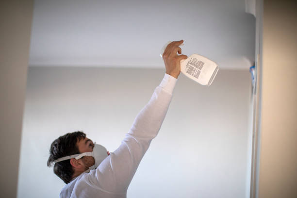 Best Same-Day Mold Removal  in East Chicago, IN